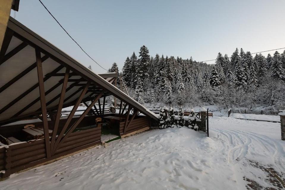 Villa Venterivka 2 Tatariv Exteriér fotografie